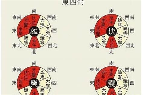 乾命(西四命)|西四命:西四命就是命理學，依三元九運把人的命卦分。